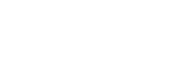 Shopify Plus Partner logo