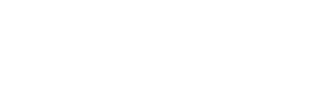 Shopify Plus Partner logo